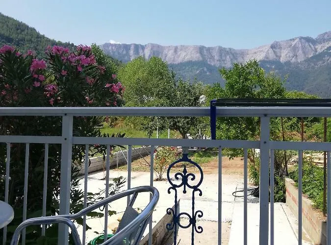 Vangelis 斯卡拉伯塔麦斯